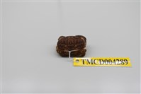 藏品(絨毛仿銀杏蟹)的圖片